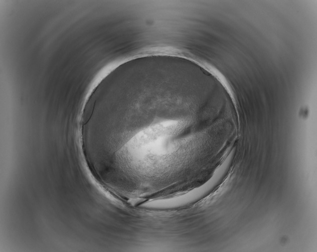 X0000099451389200805301503