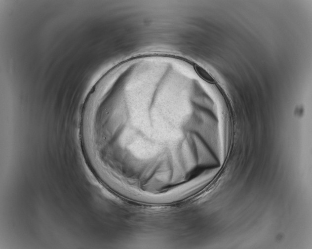 X0000099451390200805301503