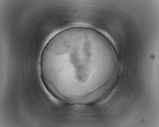 X0000099451391200805301503