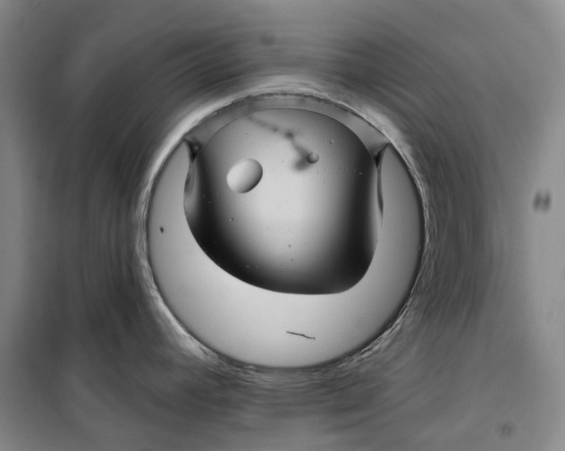 X0000099451392200805301503