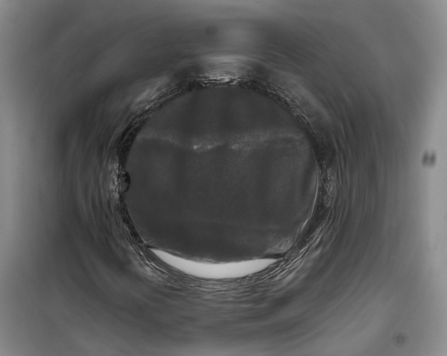 X0000099451394200805301502