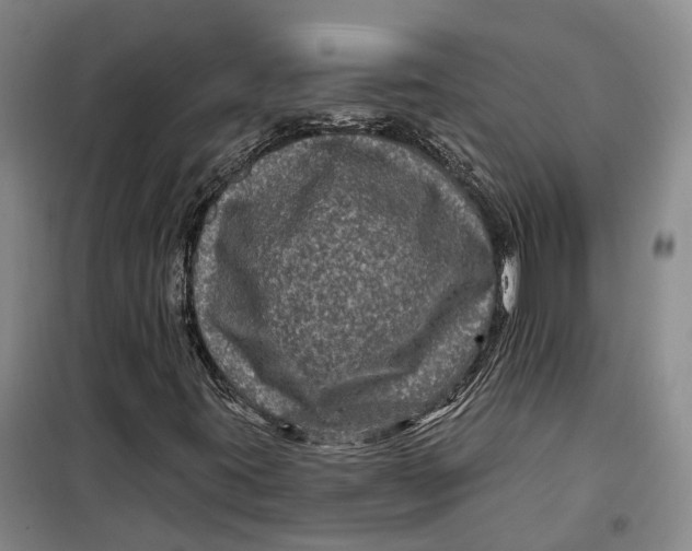 X0000099451395200805301502