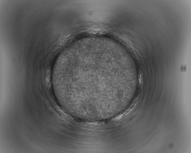 X0000099451396200805301502