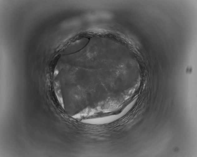 X0000099451397200805301502