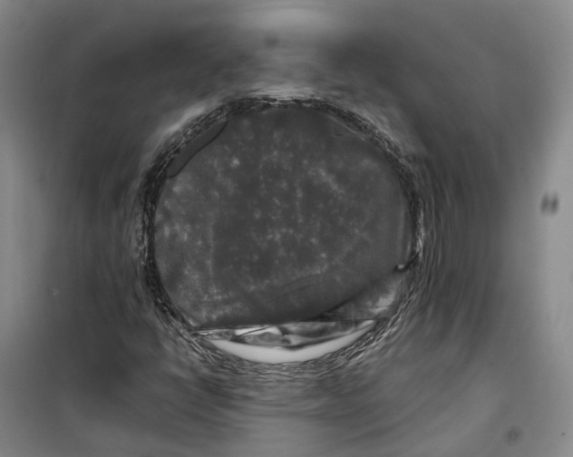 X0000099451398200805301502