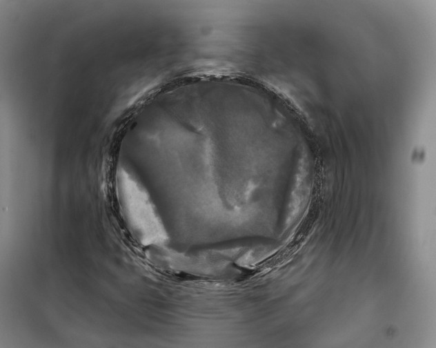 X0000099451399200805301502