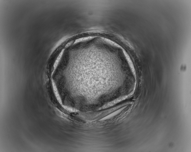 X0000099451400200805301502