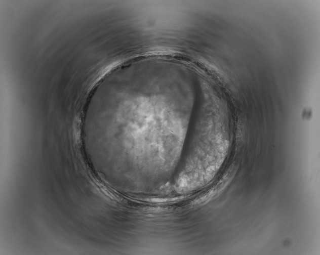 X0000099451401200805301502