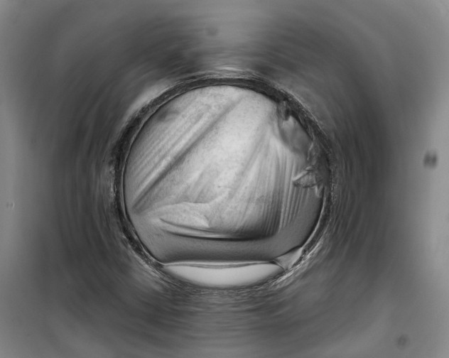 X0000099451402200805301502