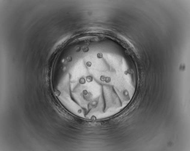 X0000099451403200805301502