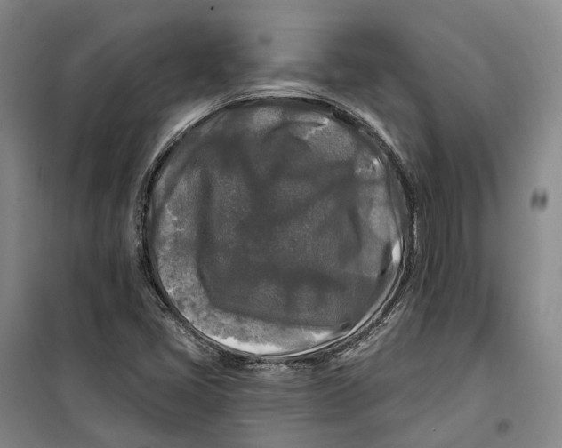 X0000099451405200805301502