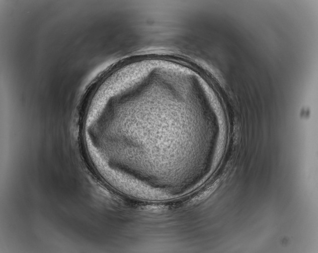 X0000099451406200805301502