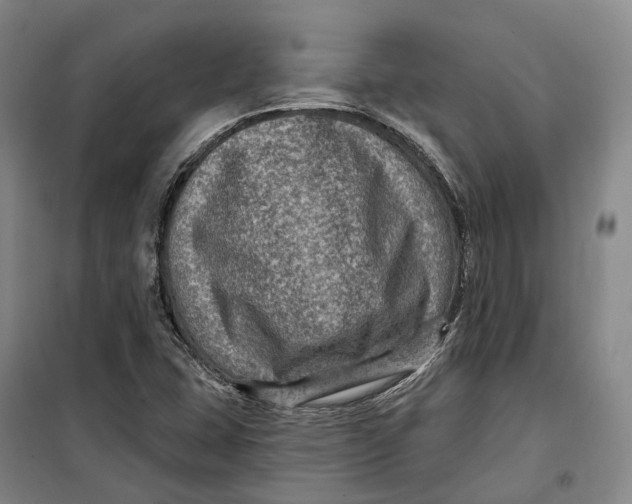 X0000099451407200805301502