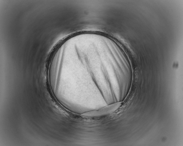 X0000099451408200805301502