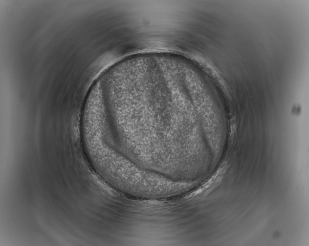 X0000099451409200805301502