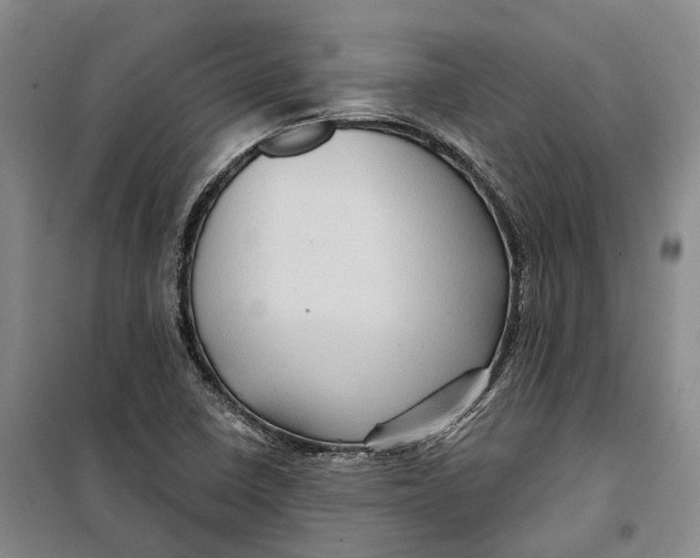 X0000099451410200805301502