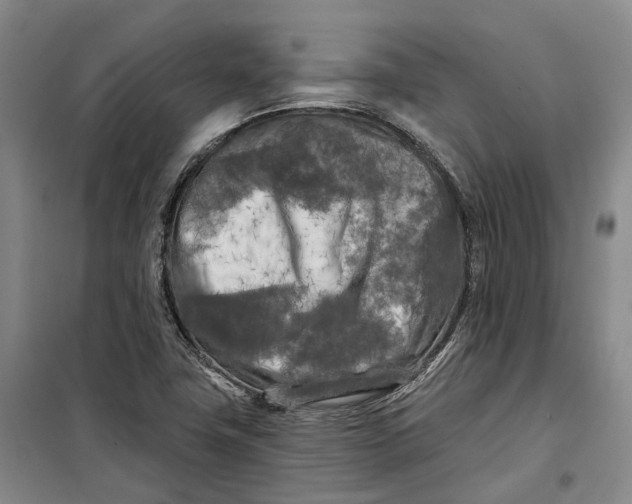 X0000099451411200805301502