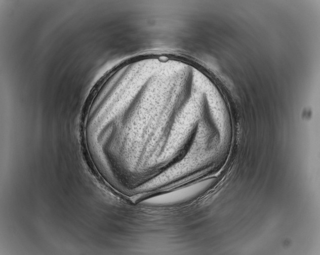 X0000099451412200805301502