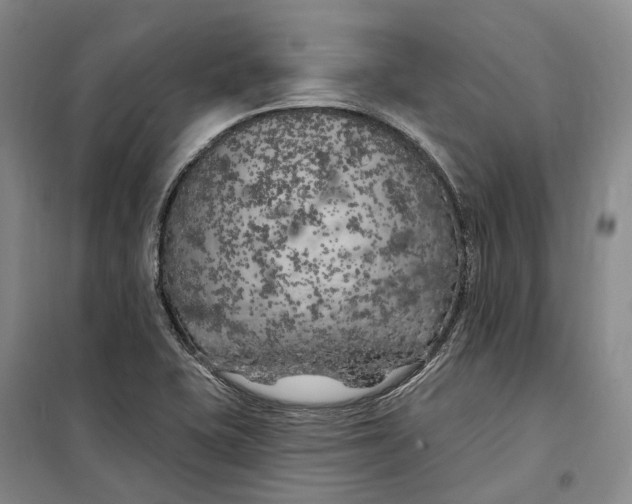 X0000099451415200805301502