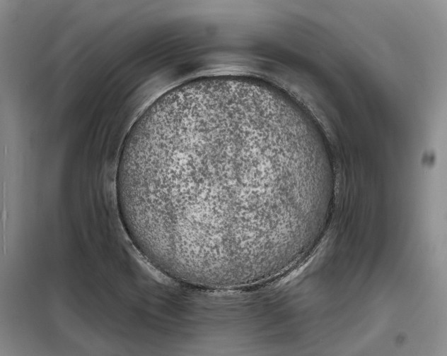 X0000099451417200805301502