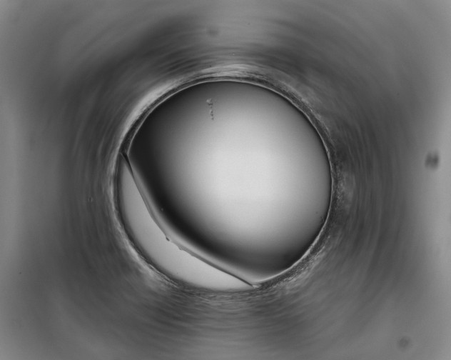 X0000099451418200805301502