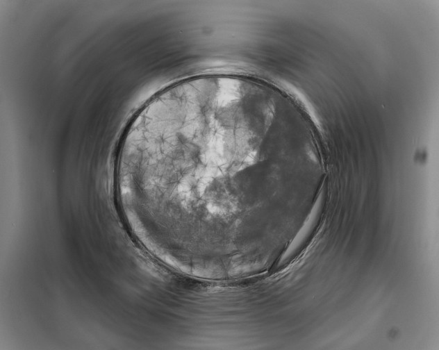 X0000099451419200805301502