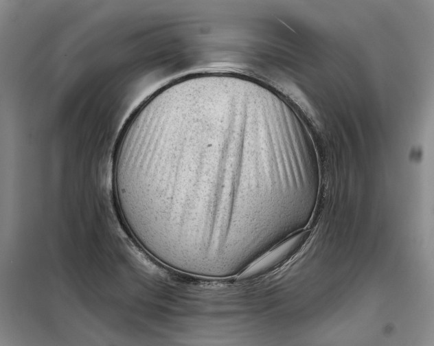 X0000099451420200805301502