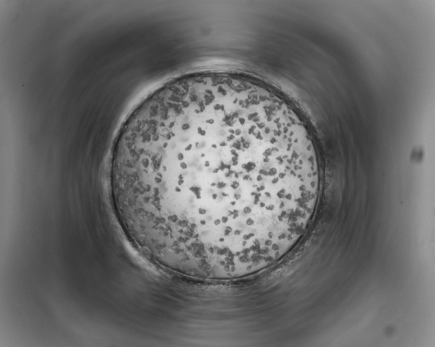 X0000099451421200805301502