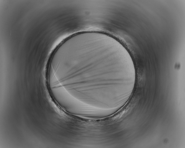 X0000099451422200805301502