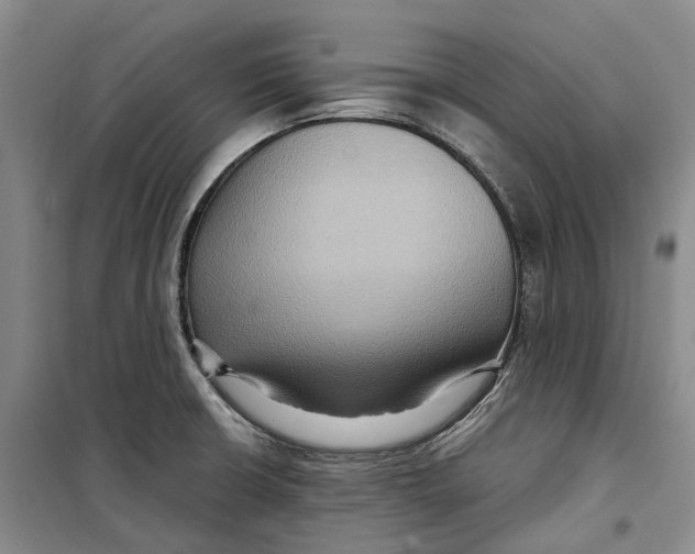 X0000099451426200805301502