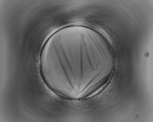 X0000099451428200805301502