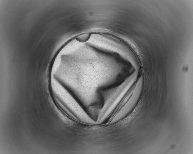 X0000099451430200805301503