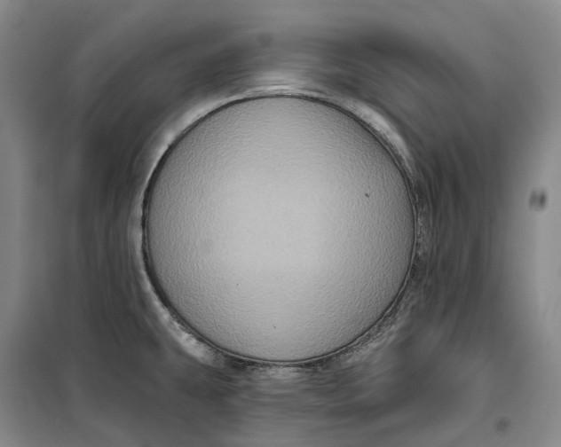 X0000099451431200805301503