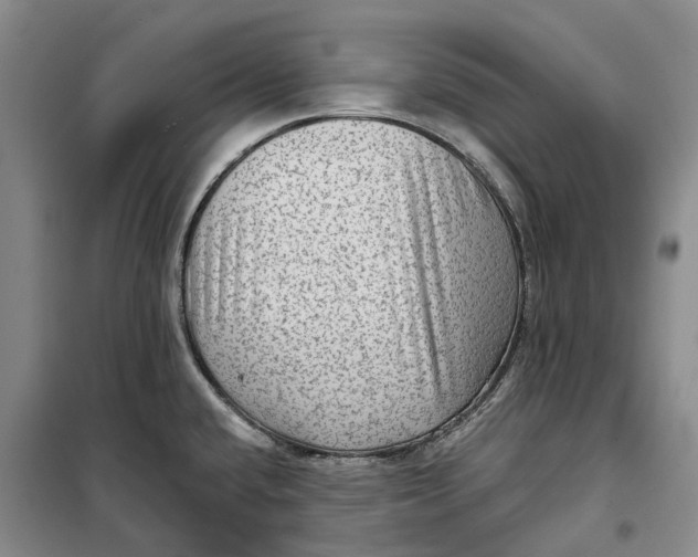 X0000099451432200805301503