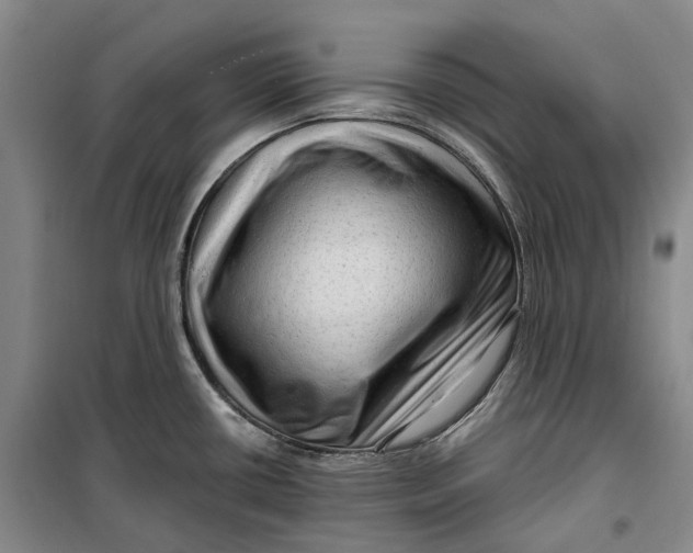 X0000099451434200805301503