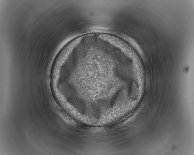 X0000099451435200805301503