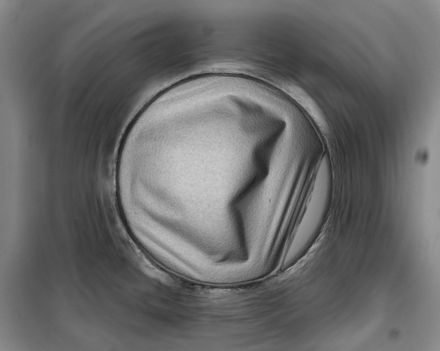 X0000099451436200805301503