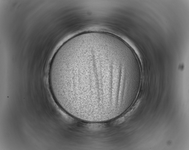 X0000099451437200805301503