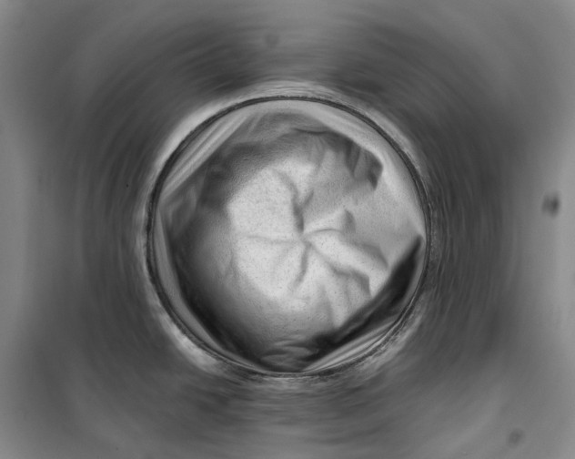 X0000099451438200805301503