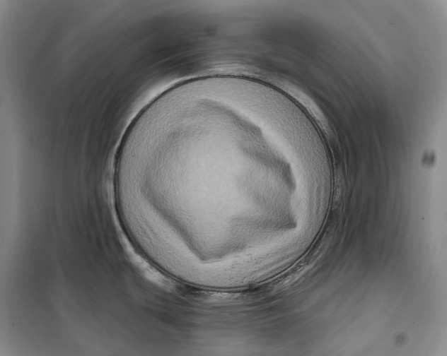 X0000099451439200805301503