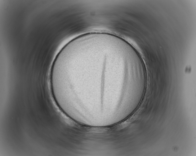 X0000099451440200805301503