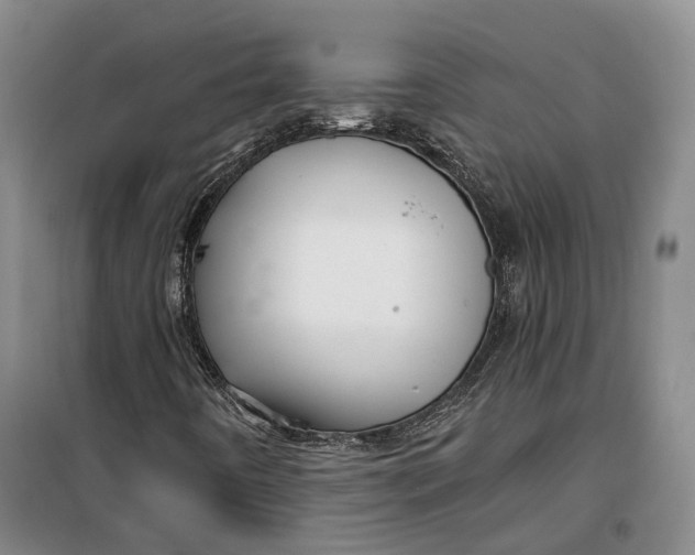 X0000099451442200805301502