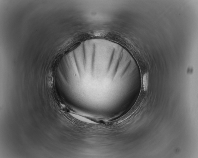 X0000099451443200805301502