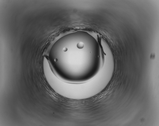 X0000099451444200805301502