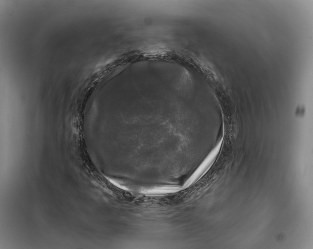 X0000099451445200805301502