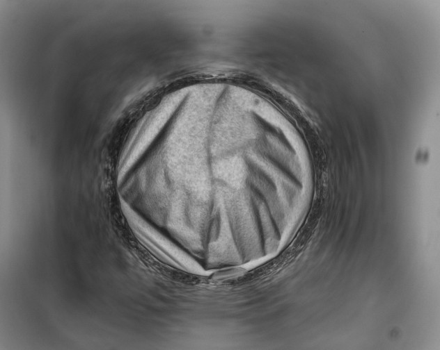 X0000099451447200805301502