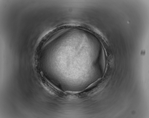 X0000099451448200805301502