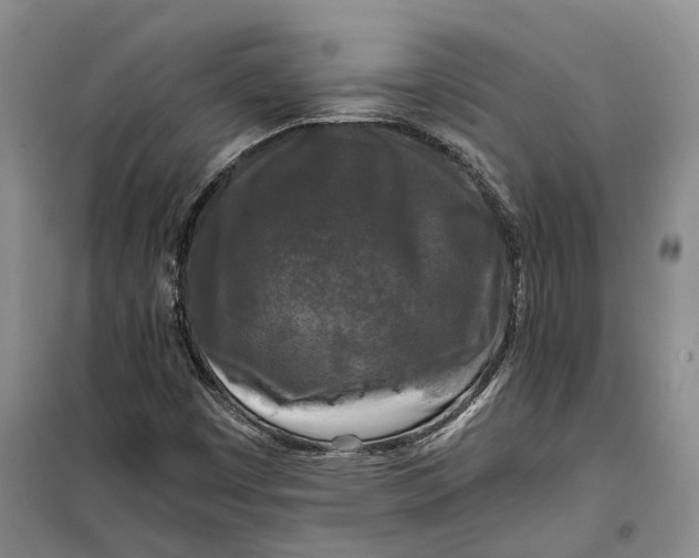 X0000099451449200805301502