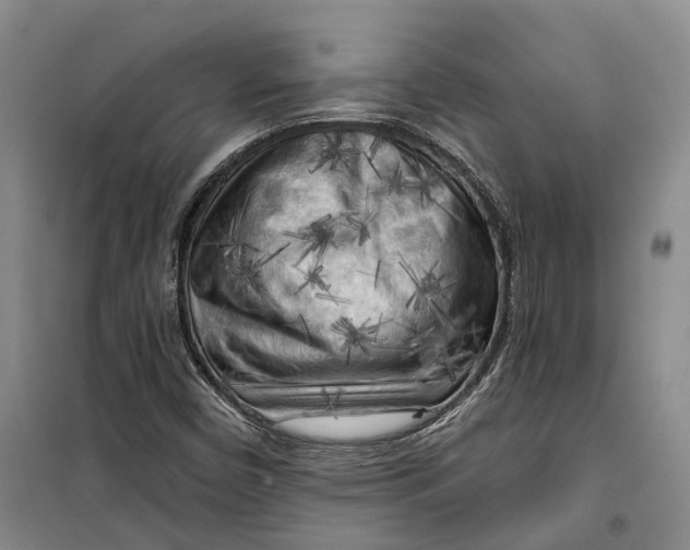 X0000099451450200805301502