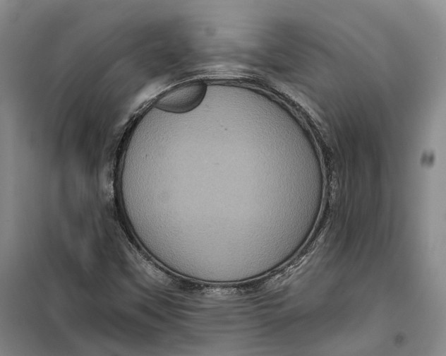 X0000099451451200805301502